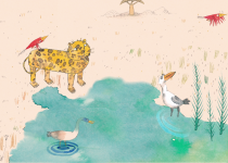 au fil de l eau photo2 stp grenouille