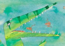 au fil de l eau photo3 stp grenouille