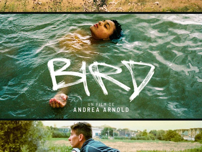 affiche birdx160 affiche birdx160