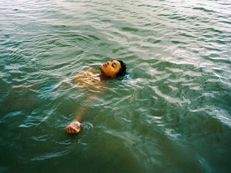 photo   bird  c  atsushi nishijima photo   bird  c  atsushi nishijima