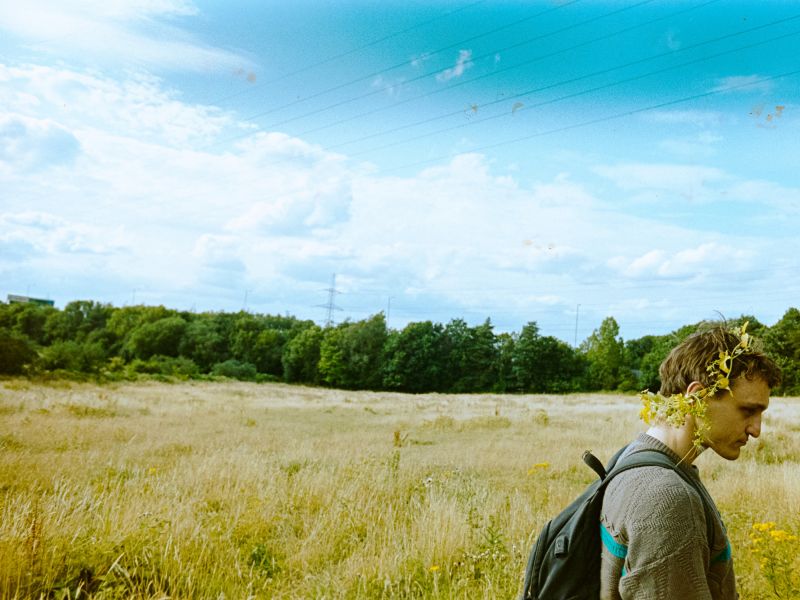 photo   bird  c  robbie ryan photo   bird  c  robbie ryan