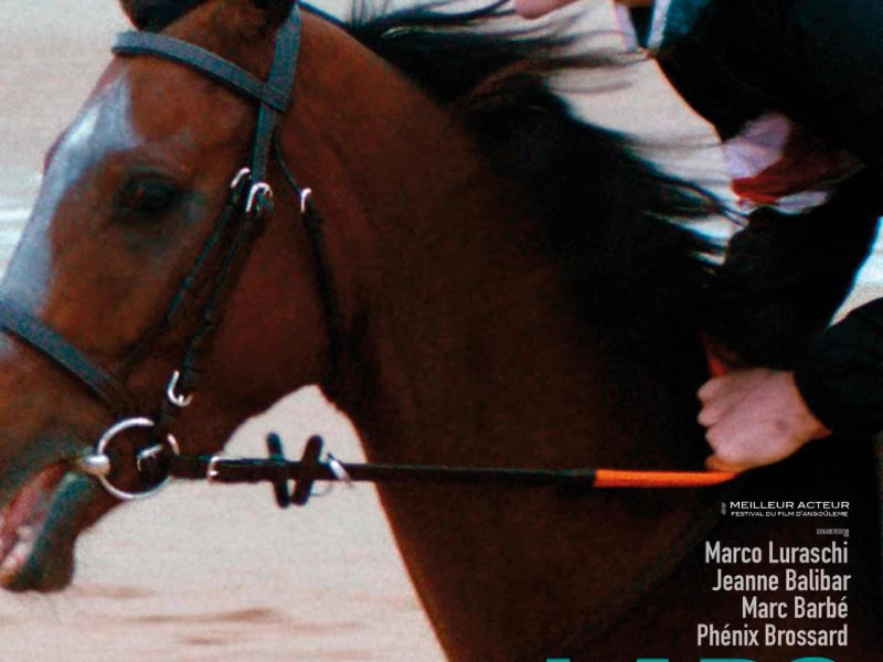 affiche lads affiche lads